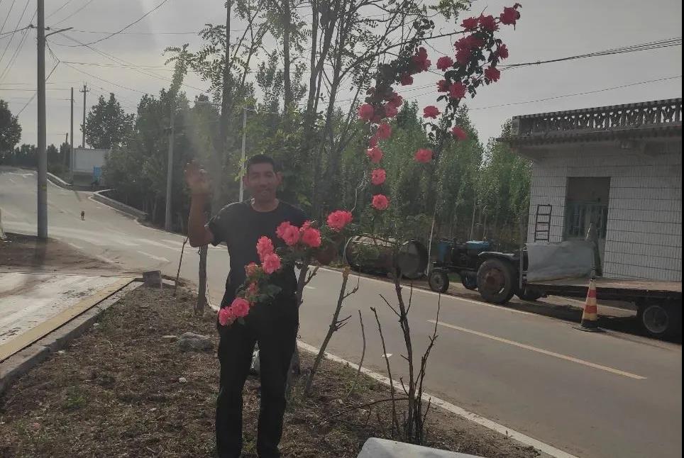 一览众山小——中联收获花生捡拾收获机靠什么占领用户心智高地?
