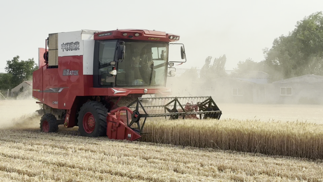 30年只做一件事:为什么越来越多农机手认准「中联收获」?(图8)